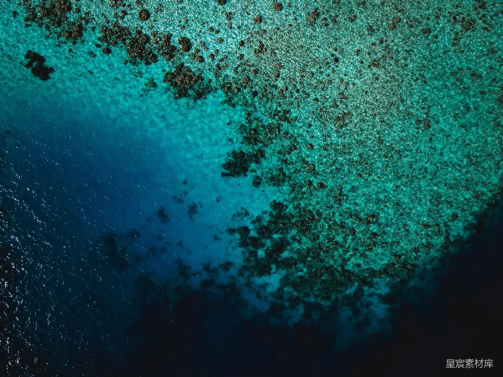 高清摄影  蓝白抽象画
