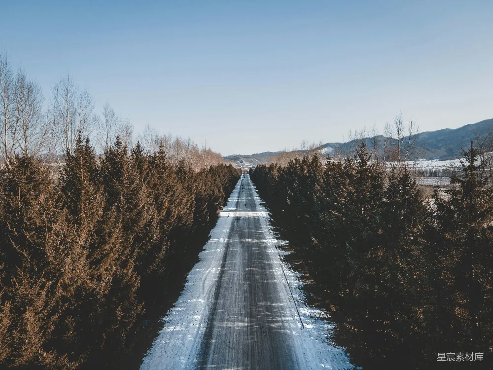 高清摄影  一条泥泞的小路，两旁是树木和积雪。