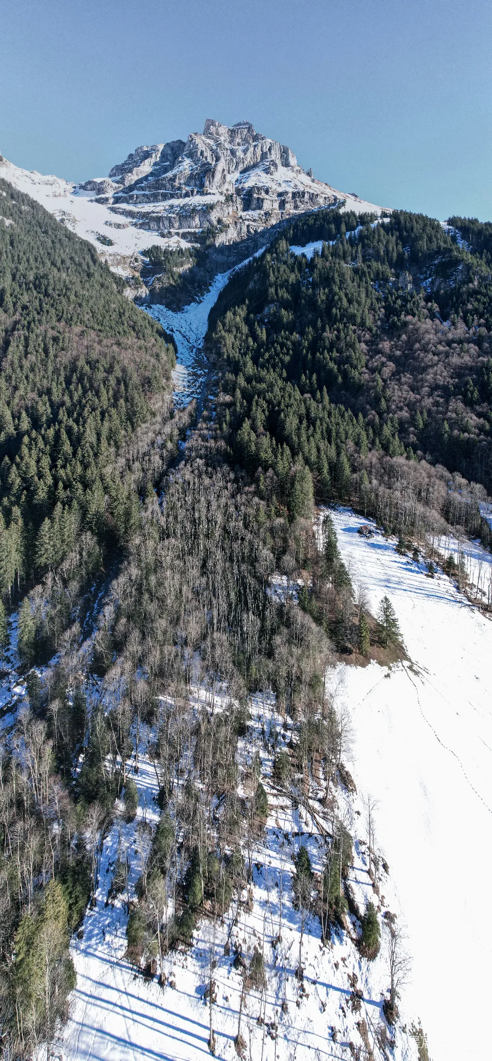 高清摄影  空中俯瞰一片被雪覆盖的区域，河流从中穿流而过。