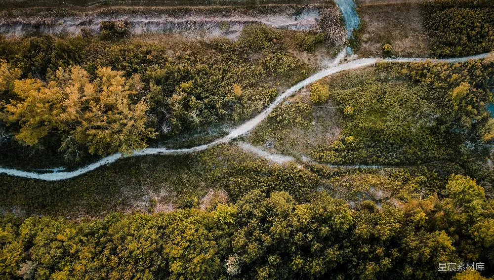 高清摄影  在树林中蜿蜒道路的空中俯瞰图