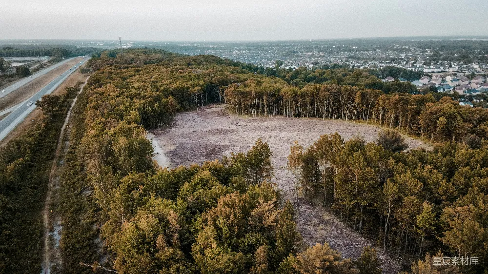 高清摄影  一条公路被树木环绕的航拍视角