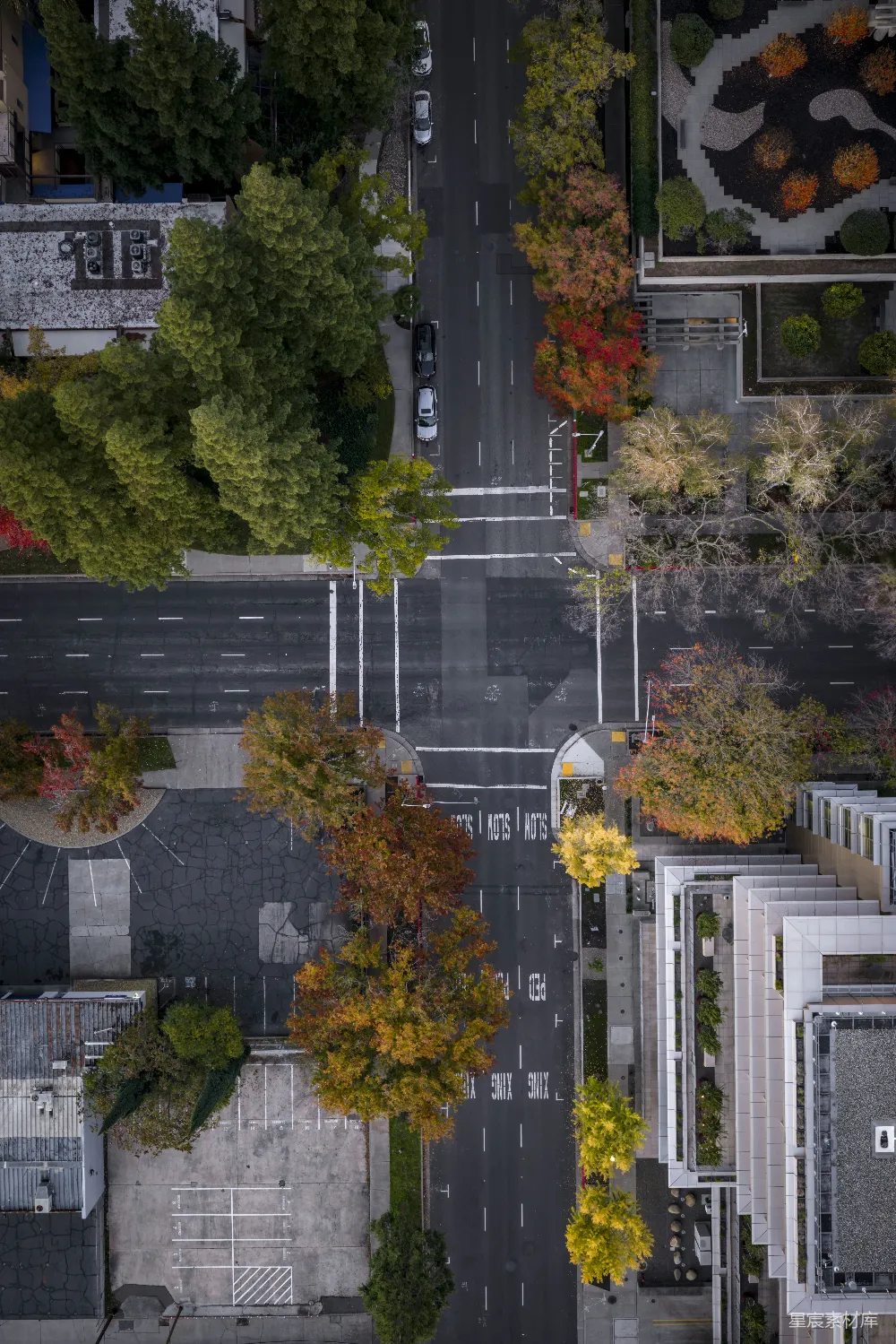 高清摄影  俯瞰秋天树木交错的街道路口。