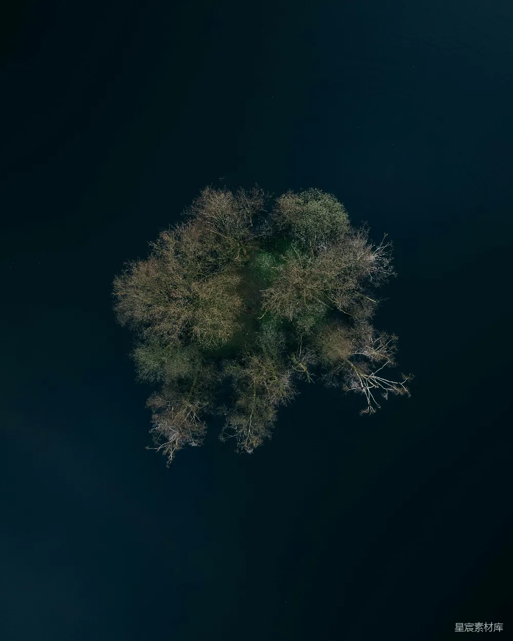 高清摄影  夜晚中间的一棵树的空中俯瞰图
