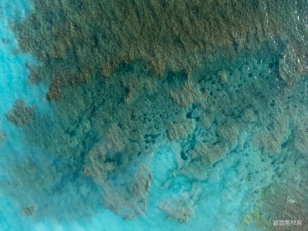 高清摄影  一张岩石的特写照片