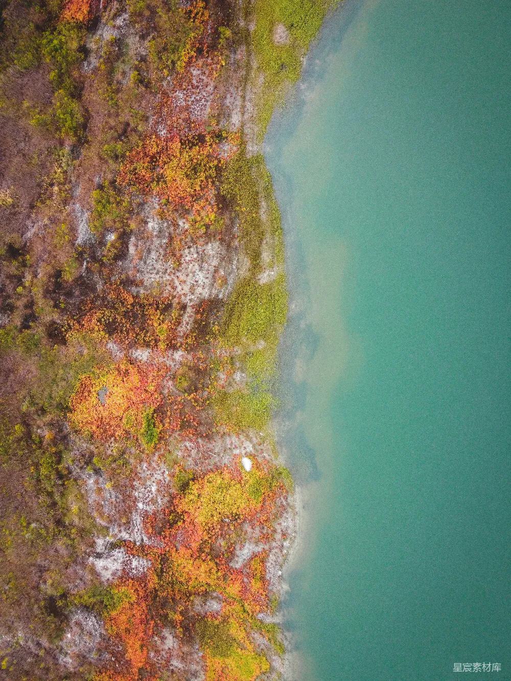 高清摄影  水体旁边的绿色和棕色土地