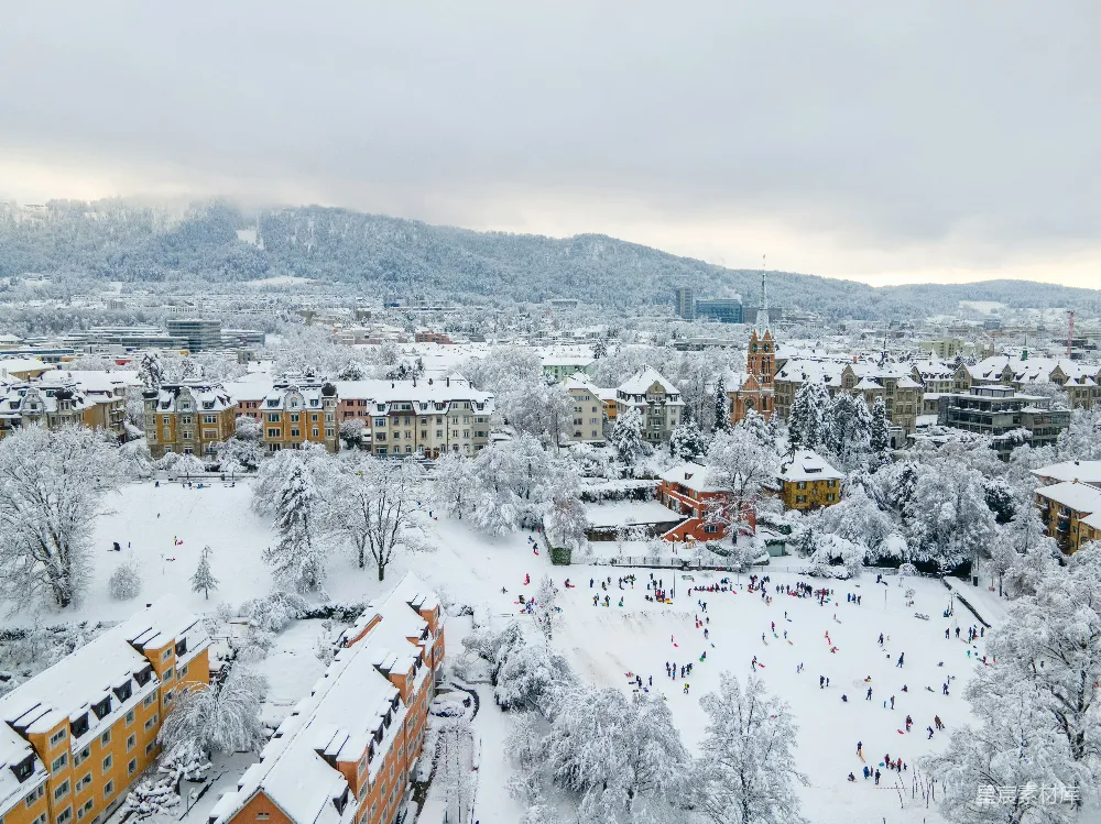 高清摄影  白棕相间的房屋覆盖着积雪，白天的景象。