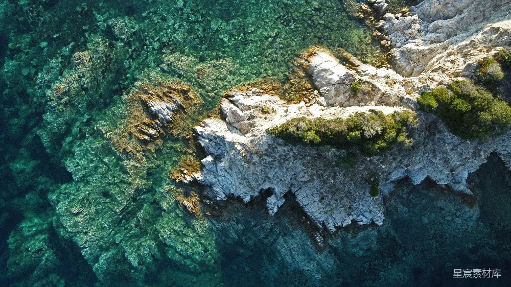 高清摄影 自然 一簇长着苔藓的岩石