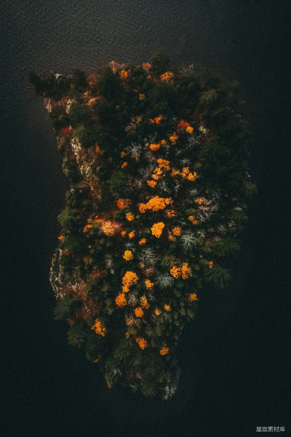 高清摄影 壁纸 自然 水中央的树的空中俯瞰图