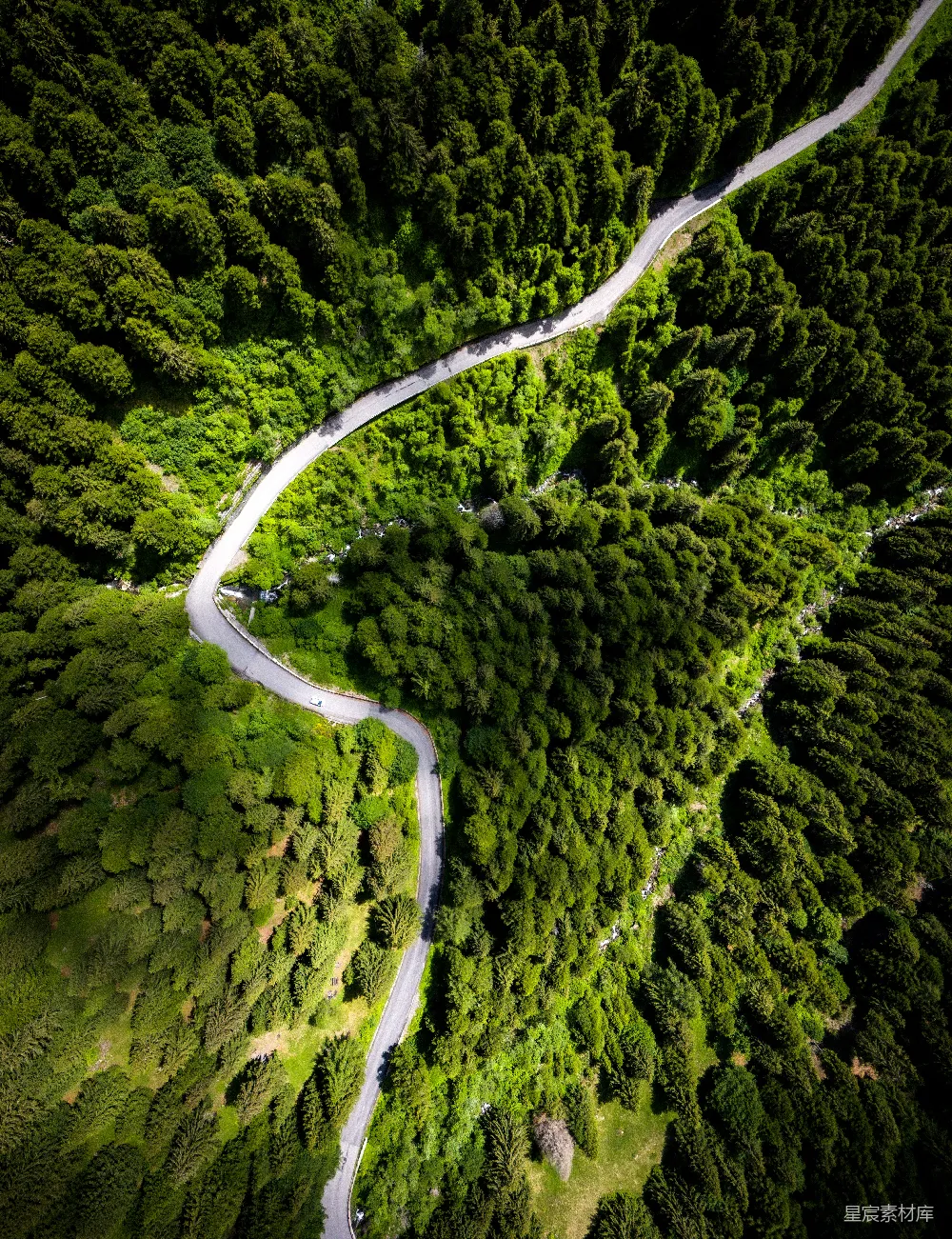 高清摄影  一条蜿蜒的公路穿过郁郁葱葱的森林的空中俯瞰图。
