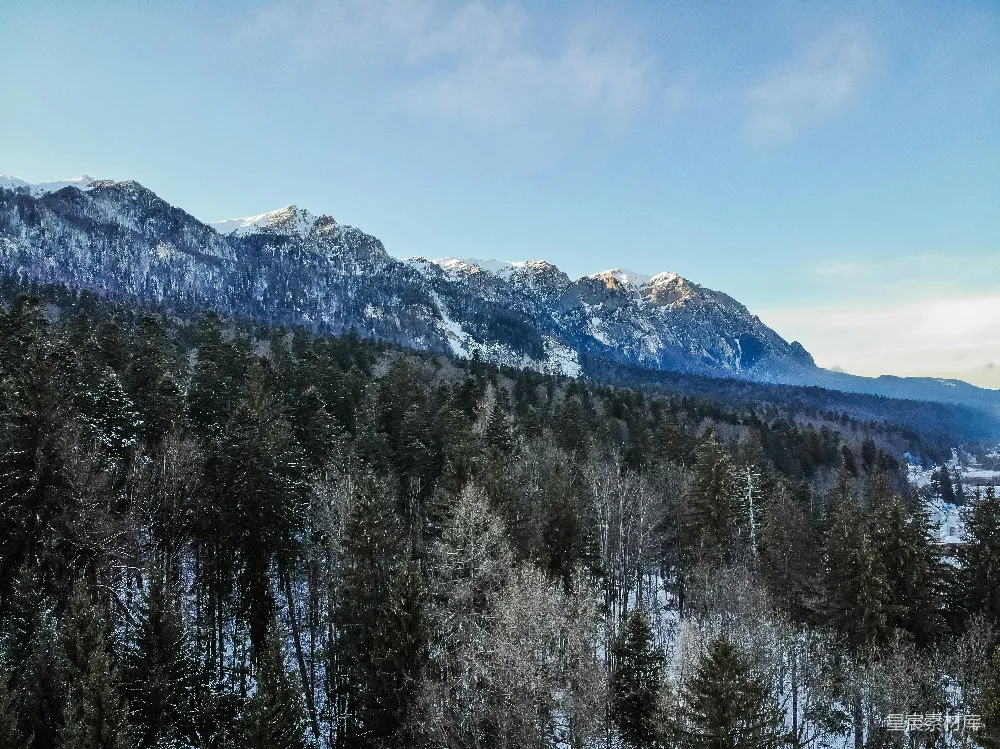 高清摄影  白天，蓝天下的雪山旁绿松树掩映