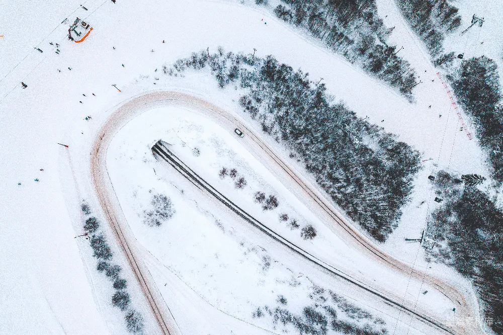 高清摄影  被雪覆盖的树木俯瞰图