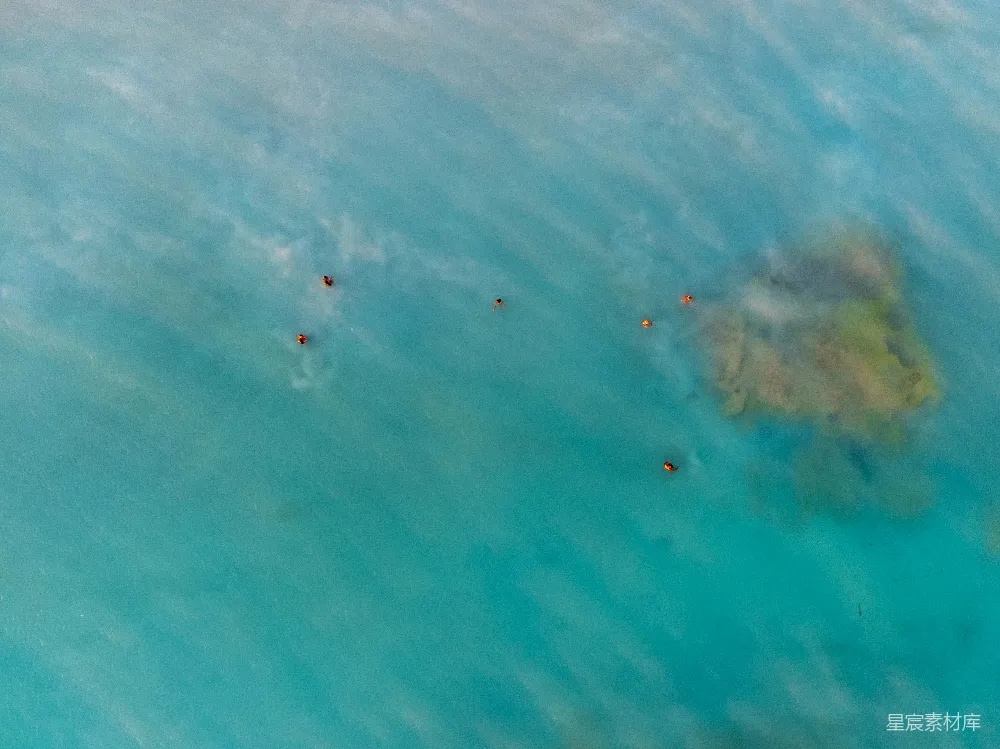 高清摄影  一群色彩斑斓的物体在空中漂浮。