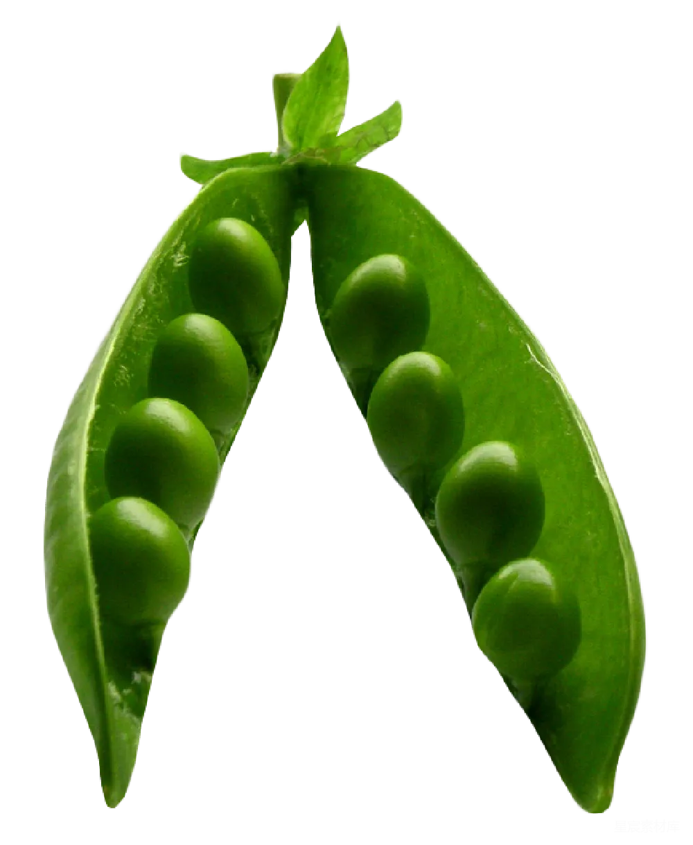 元素素材 元素 豌豆
