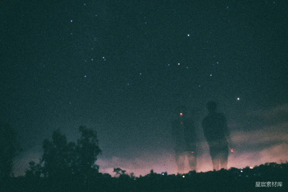 高清摄影 实验性 树的剪影在黑暗的夜空下，星星闪烁。