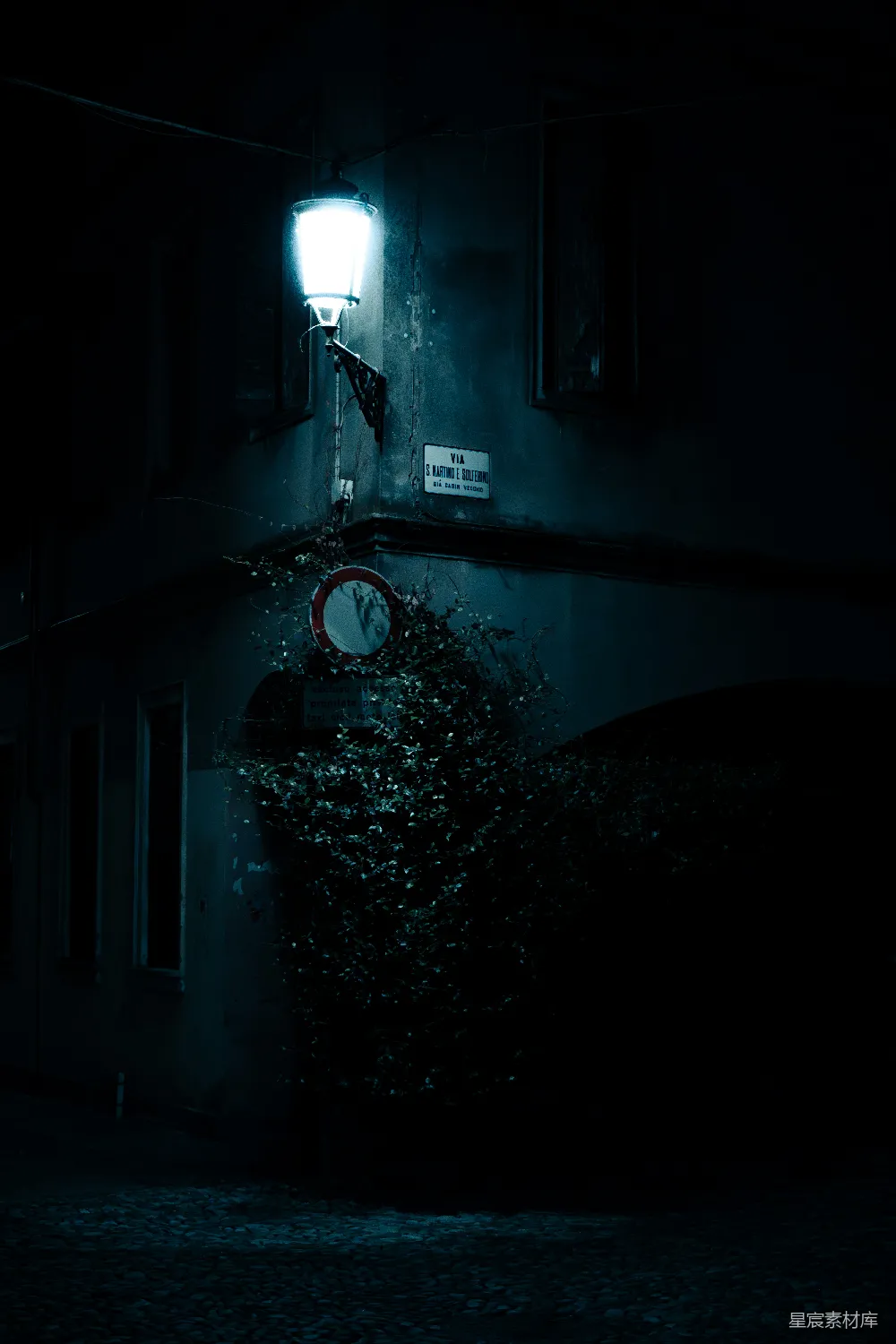 高清摄影  路灯在夜间照亮了覆盖在地上的常春藤。