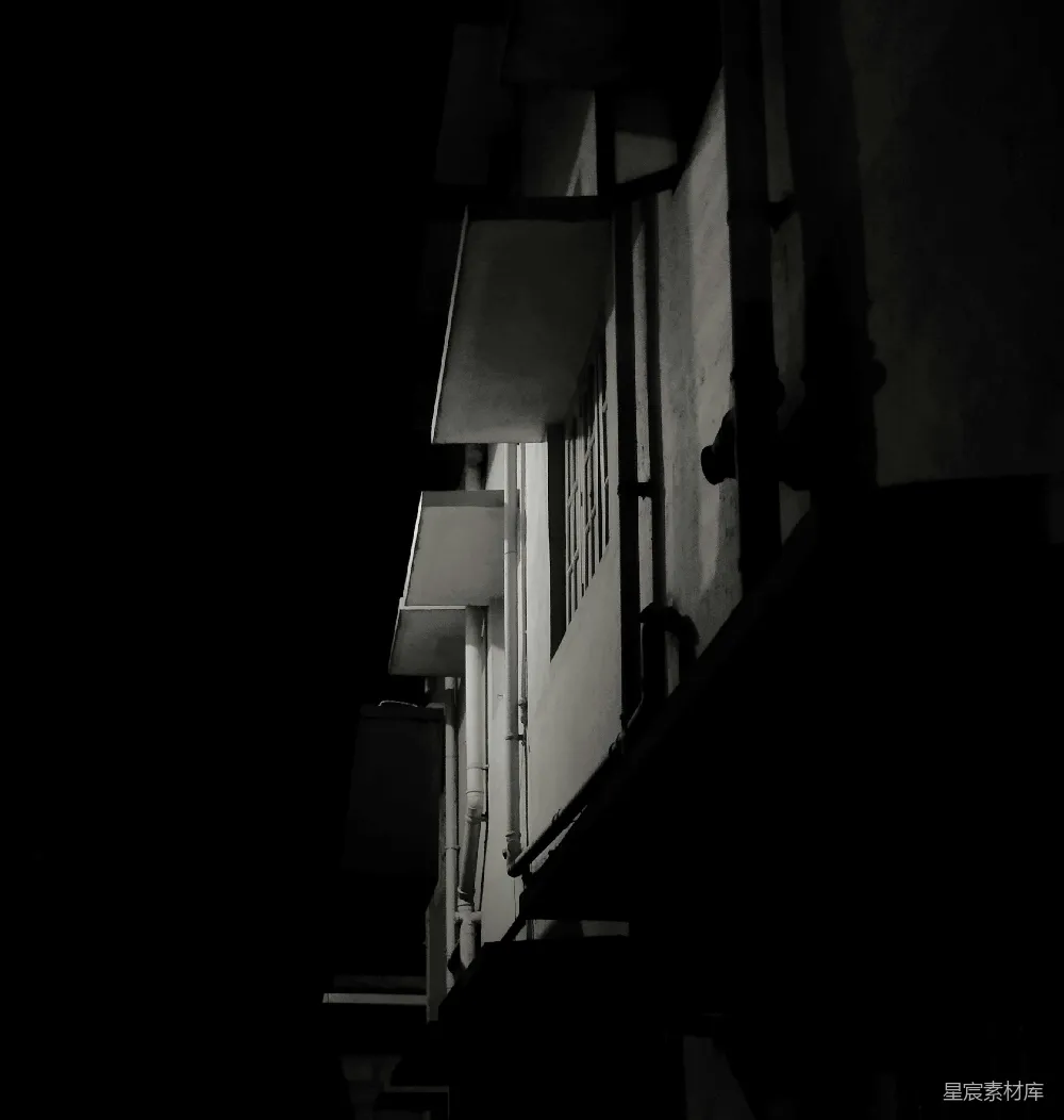 高清摄影  一张夜晚的黑白照片，显示了一座建筑物。