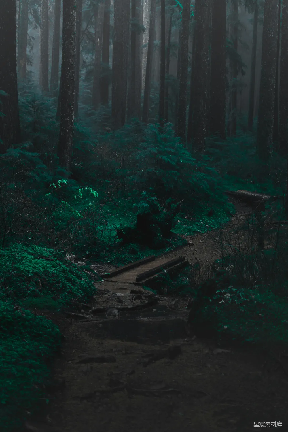 高清摄影  背景图案