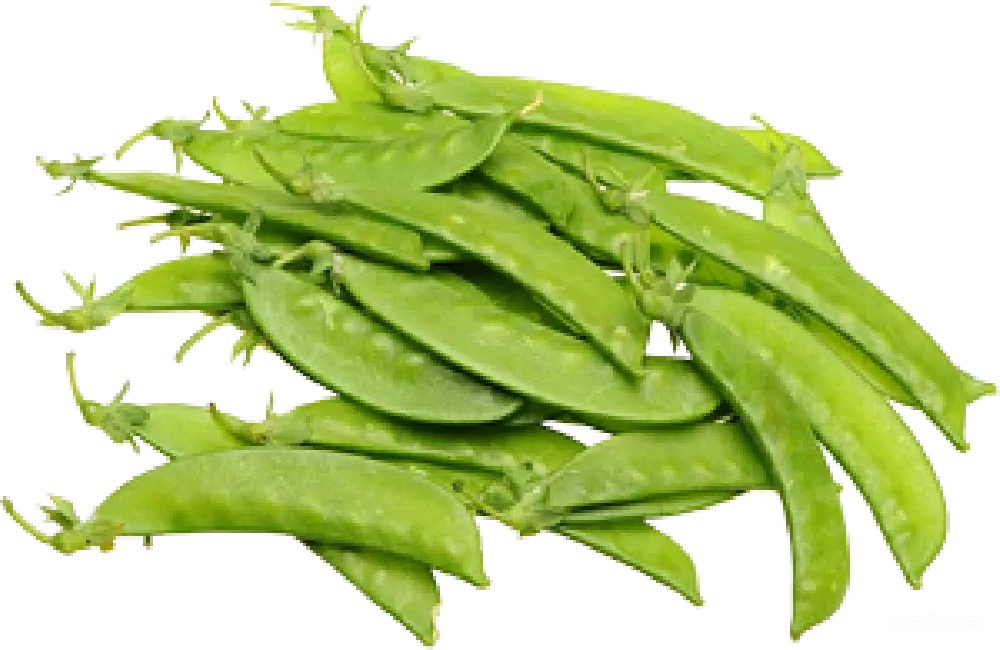 元素素材 豌豆