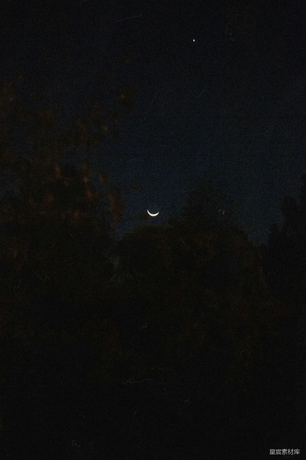 高清摄影  夜晚透过树林可以看到月亮。