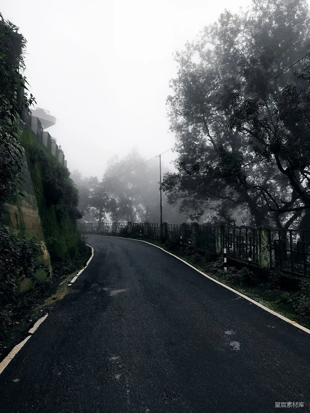 高清摄影  一条道路两旁有树木。