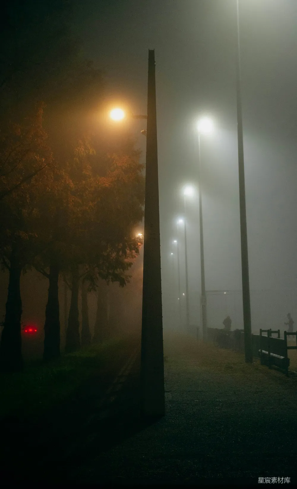 高清摄影 壁纸 旅行 一个雾蒙蒙的夜晚在公园里，路灯照亮了道路。