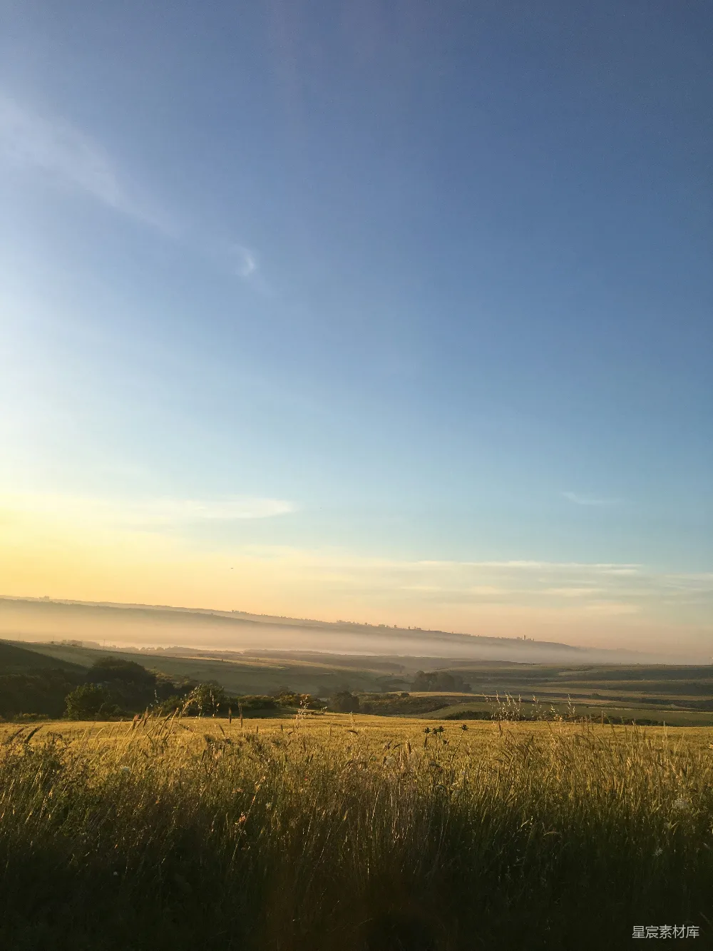 高清摄影  白天绿草 fields 蓝天 中
