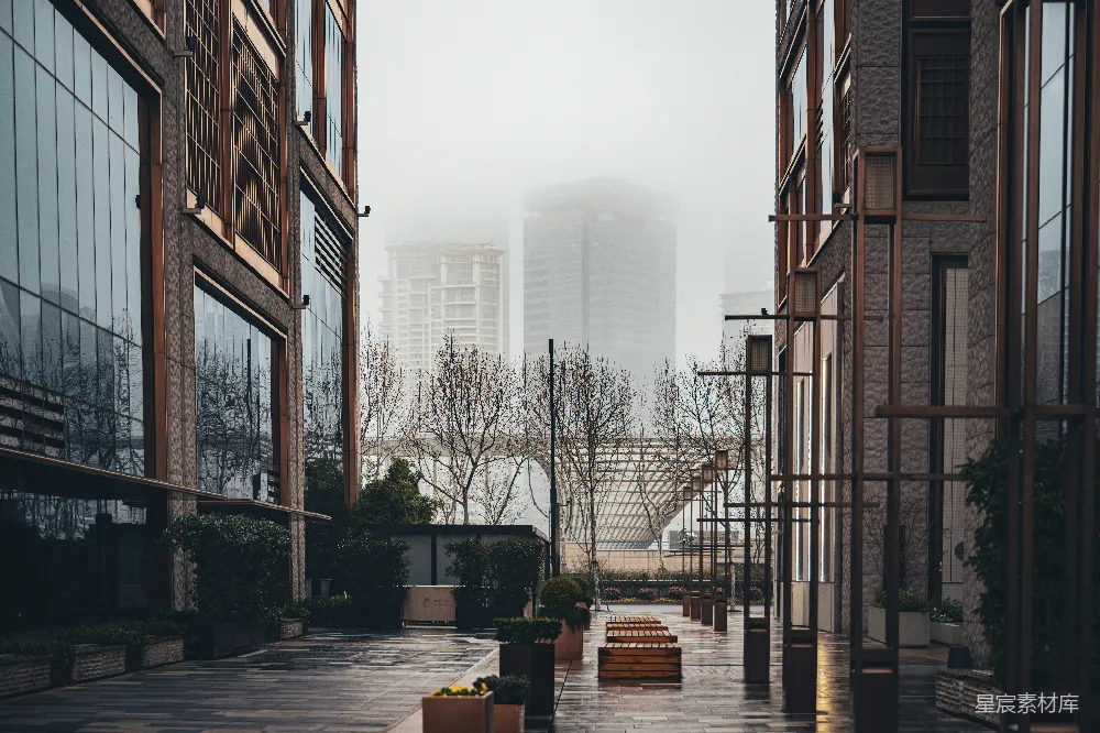 高清摄影  一条城市街道，背景是高大的建筑物。