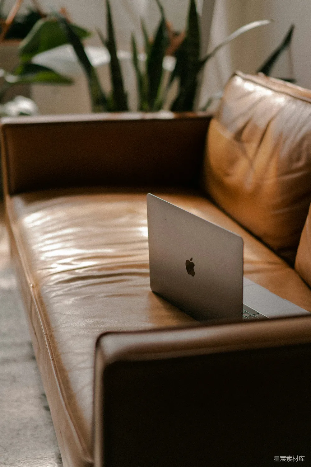 高清摄影  银色的MacBook放在棕色皮沙发上