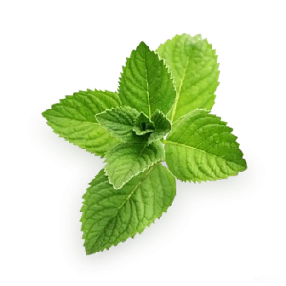 元素素材 薄荷油