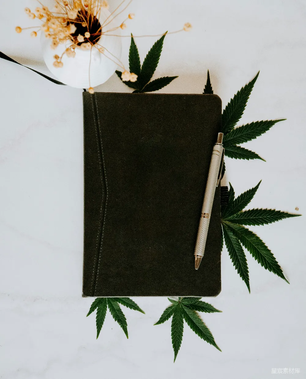 高清摄影  一本笔记本，上面有一个大麻叶的图案。