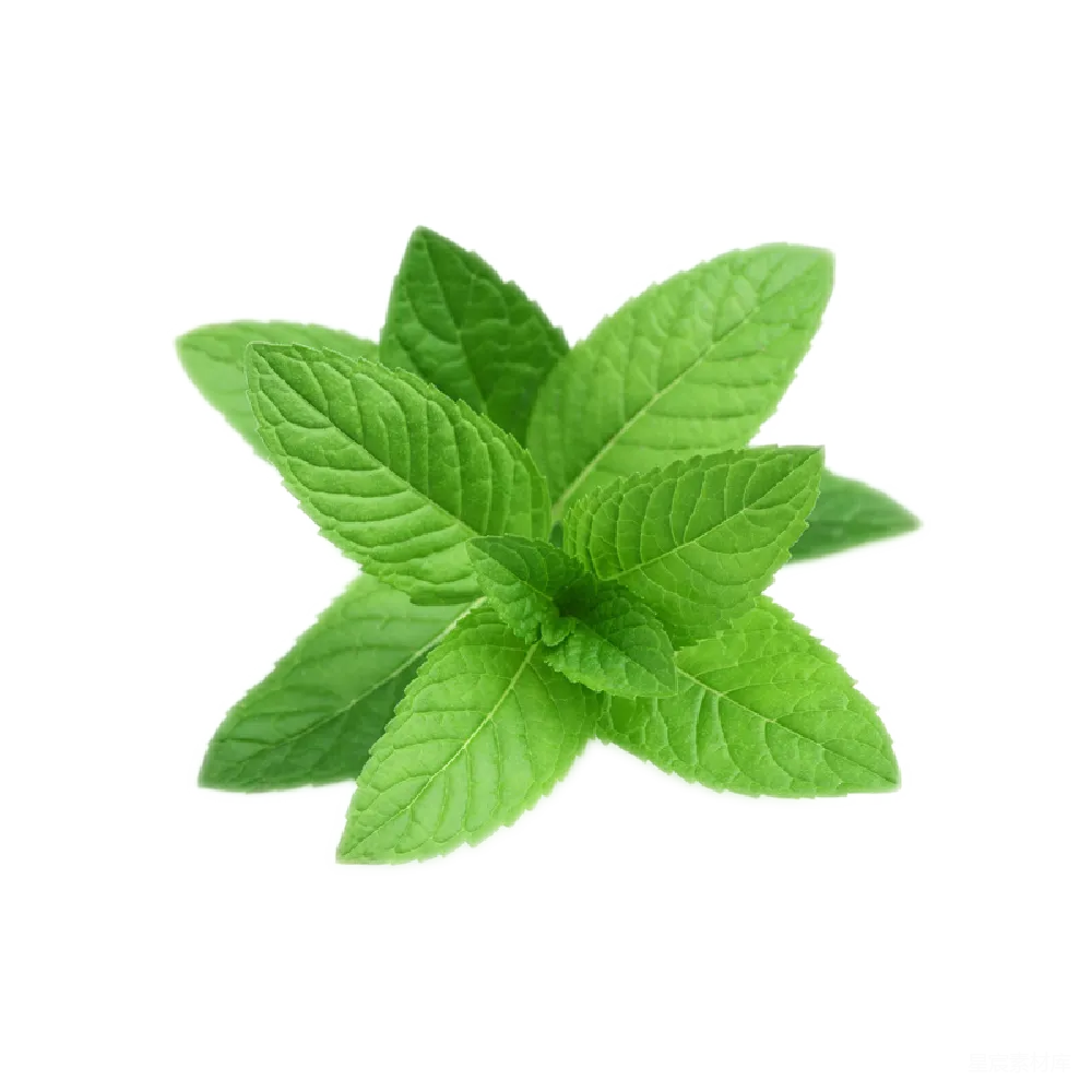 元素素材 元素 peppermint