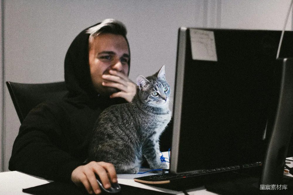 高清摄影  男人在电脑前，猫在电脑前面。