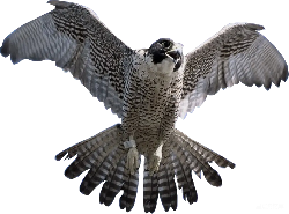 元素素材 元素 Falcon