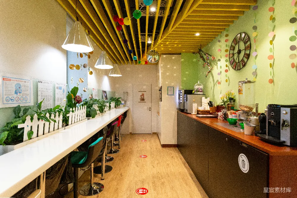 高清摄影  棕色木桌上的绿色盆栽植物