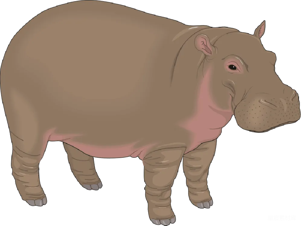 元素素材 元素 hippo
