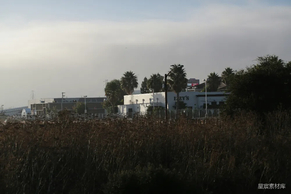 高清摄影  工业建筑和树木在薄雾笼罩的天空下。