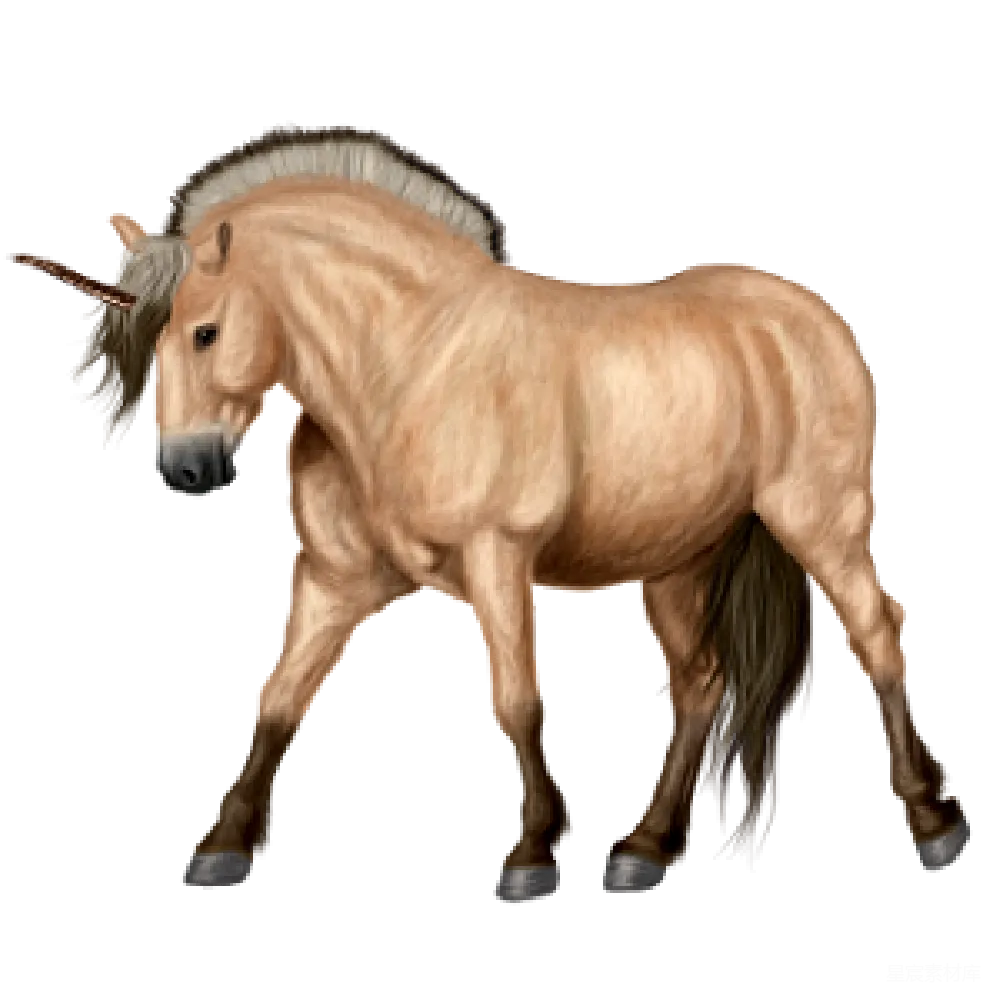 元素素材 PNG