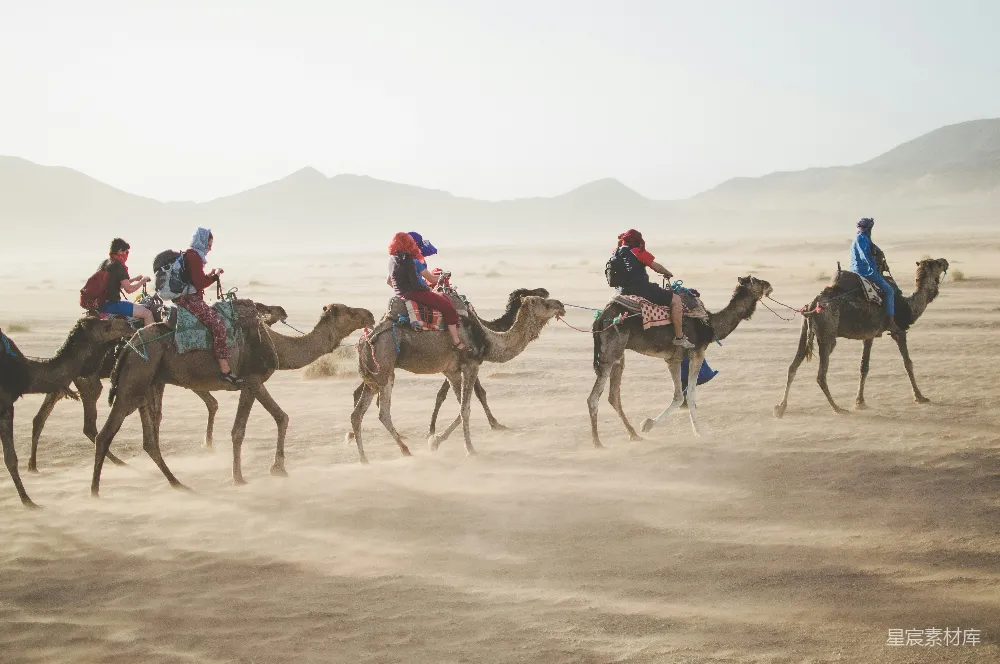 高清摄影  一群人在沙漠沙丘上骑骆驼。