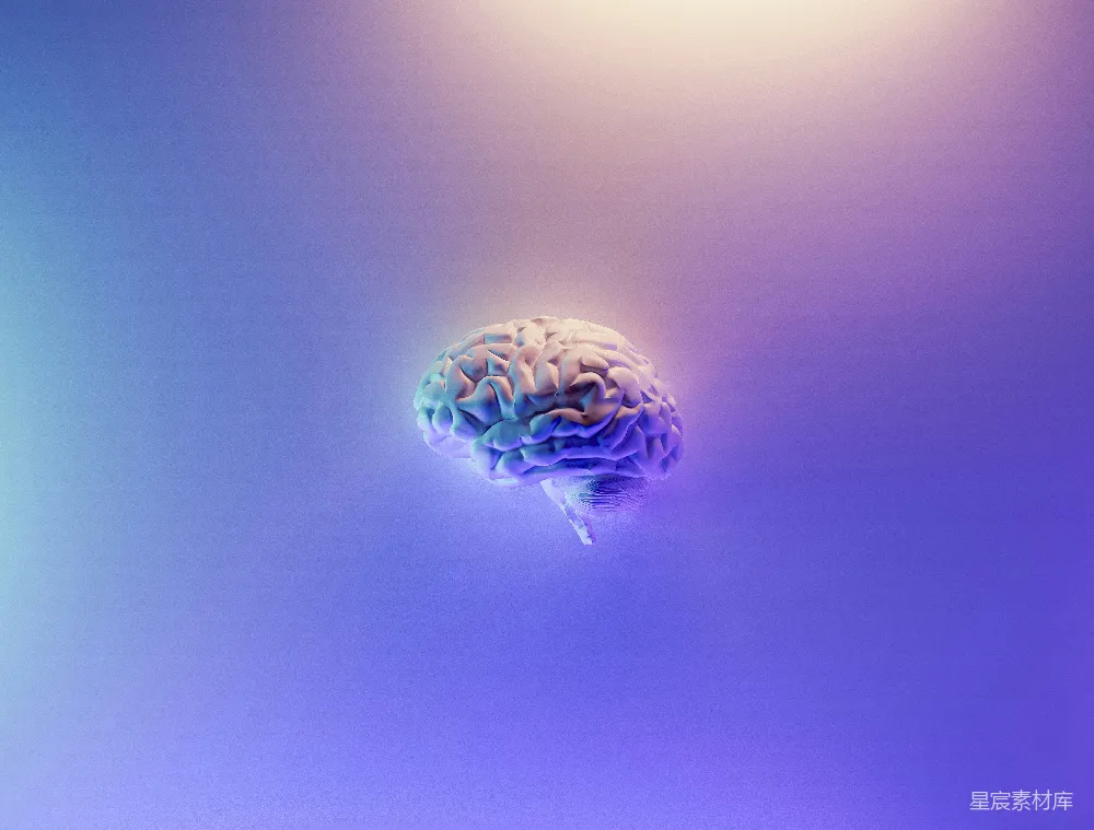 高清摄影 壁纸 蓝紫色背景上的彩虹色大脑渲染图