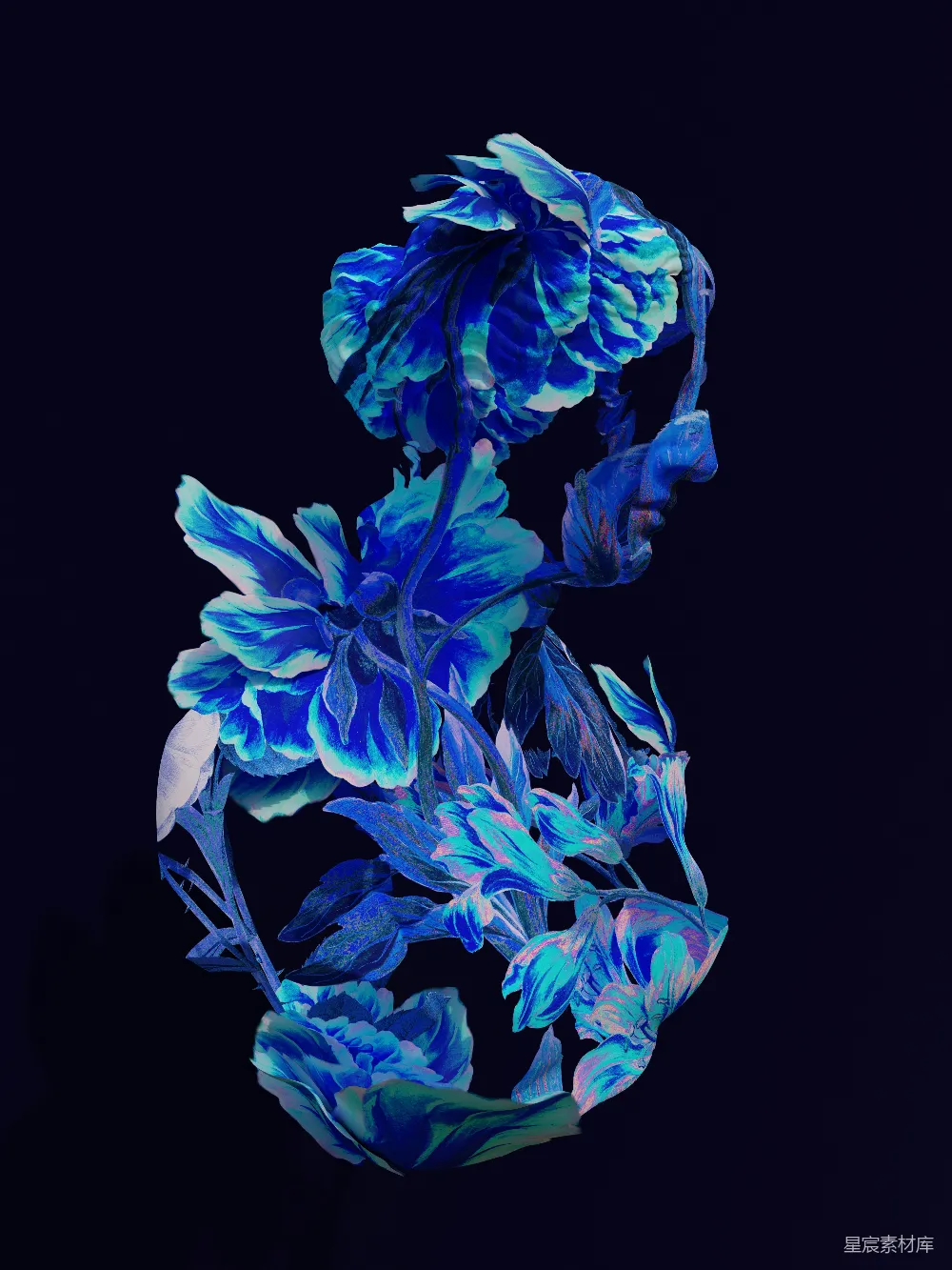 高清摄影 壁纸 一朵蓝花在黑背景下