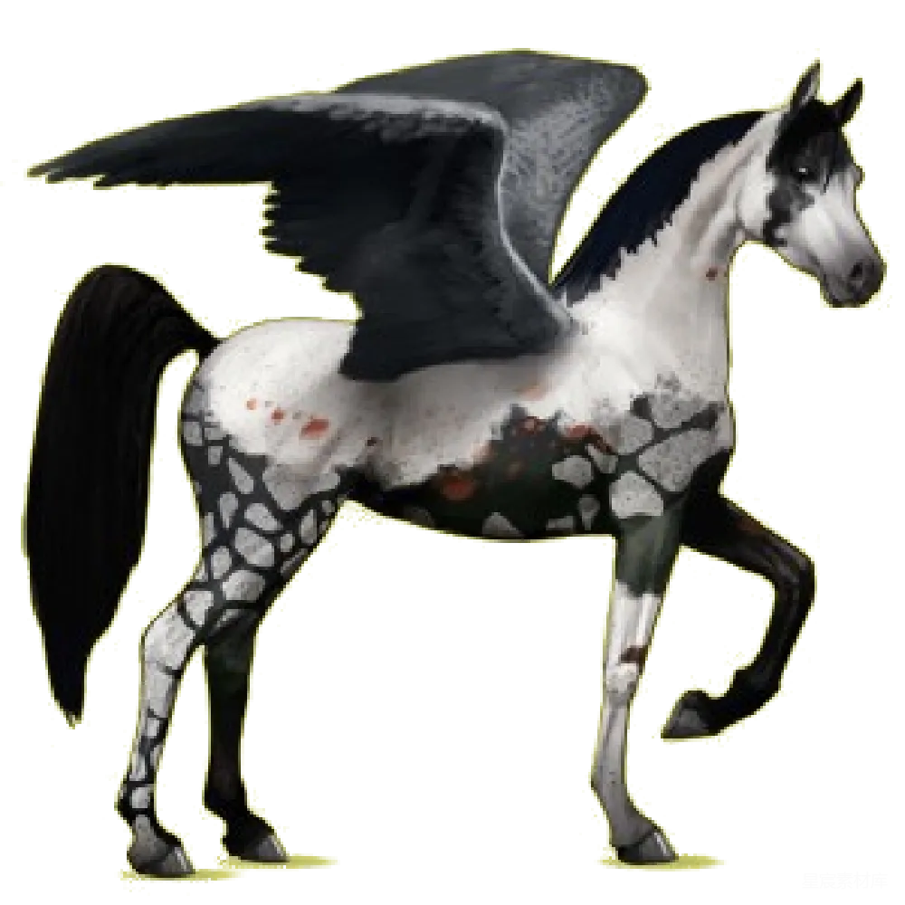 元素素材 PNG