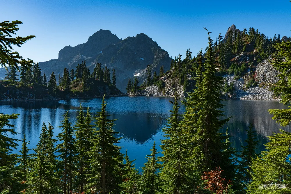 高清摄影 自然 湖畔树木环绕的白天景象