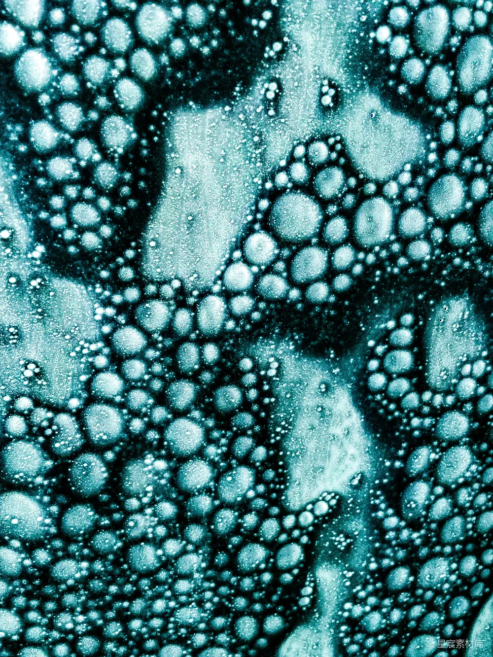 高清摄影  水泡在表面上的特写视图