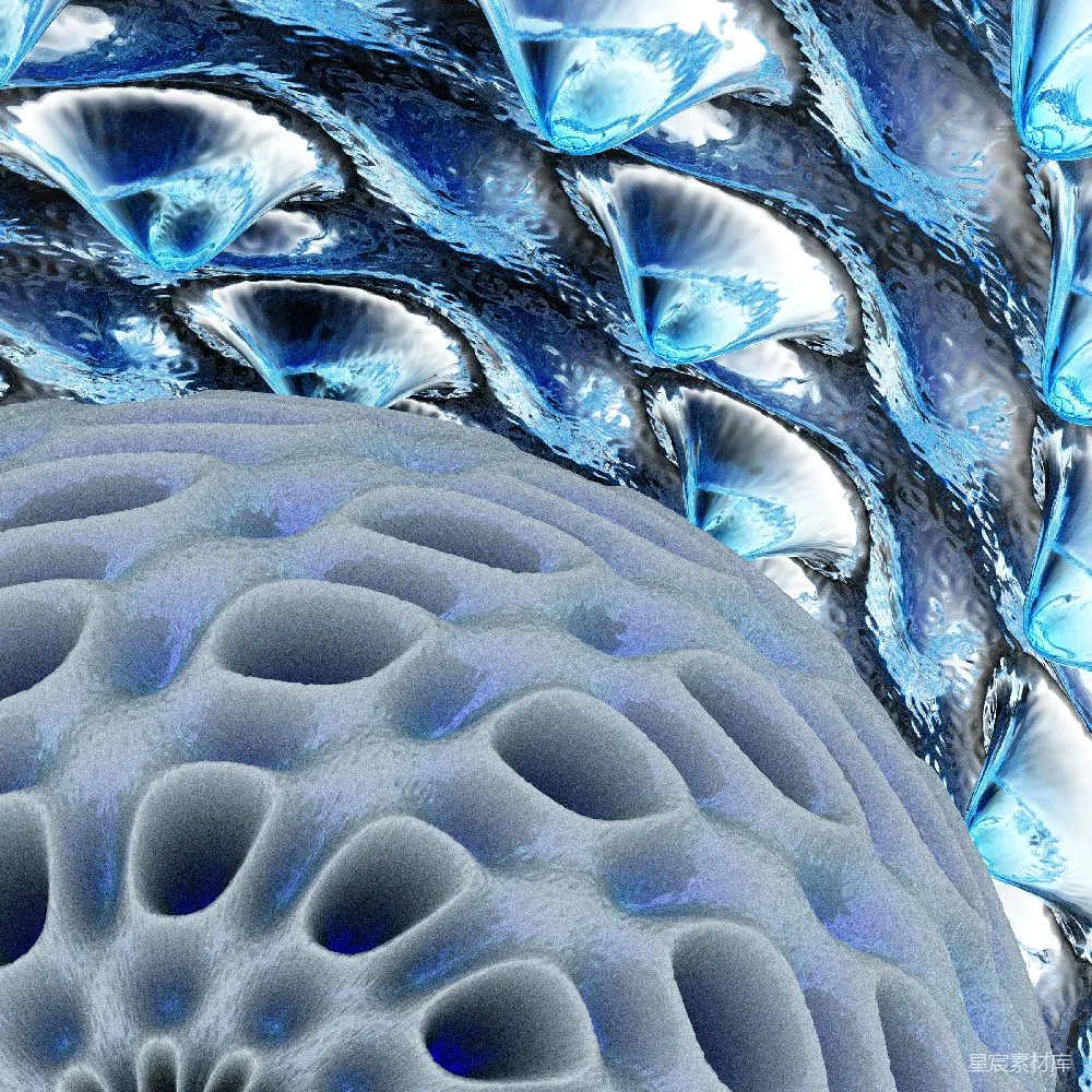 高清摄影  计算机生成的一张蓝色花朵图片