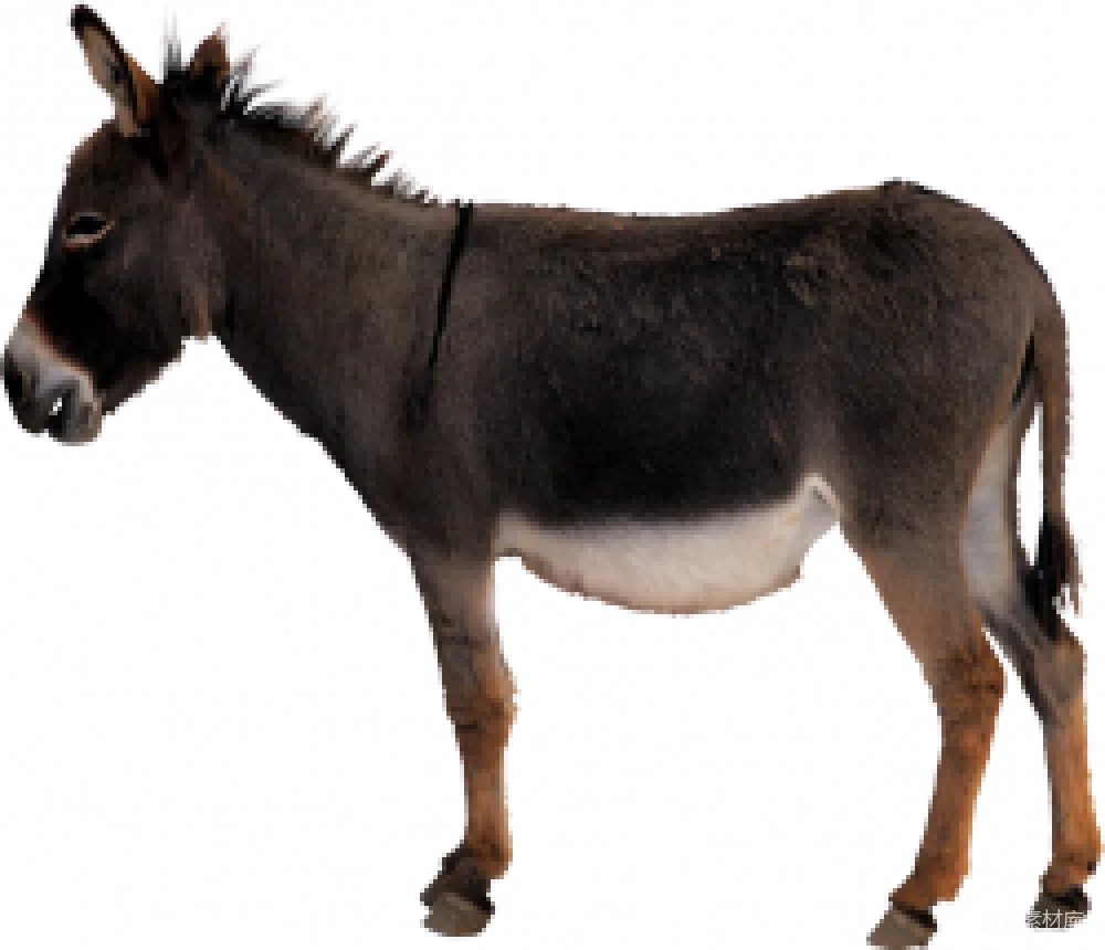 元素素材 透明