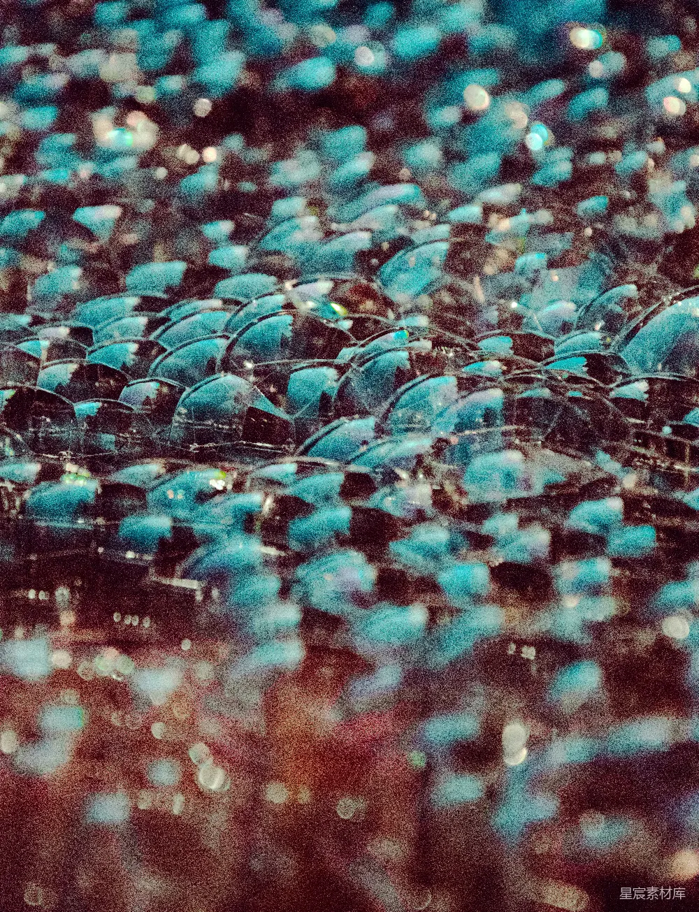 高清摄影  蓝粉光斑