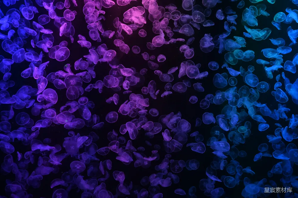 高清摄影  抽象的色彩斑斓的发光粒子在黑暗的背景下。