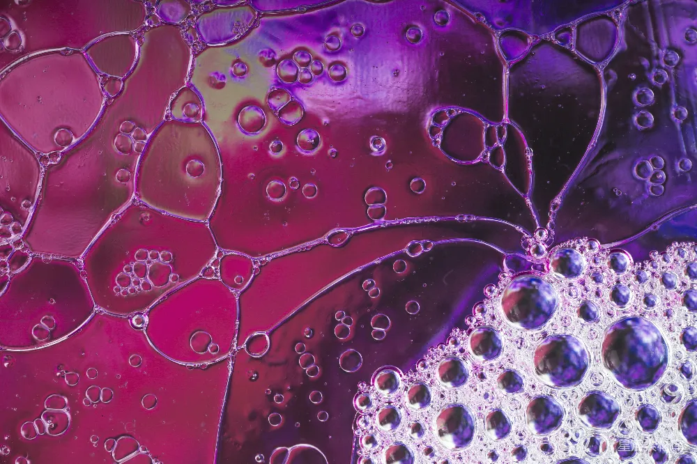 高清摄影  一张紫色背景上水珠特写的照片