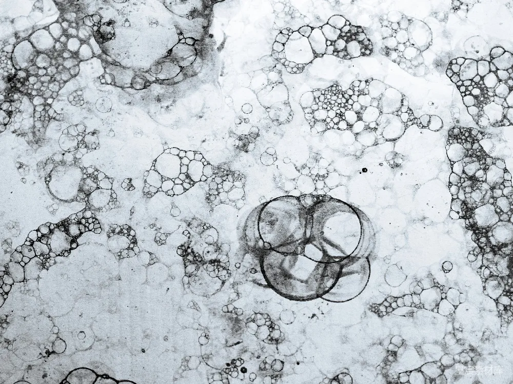 高清摄影 实验性 一张黑白色的水中的气泡照片