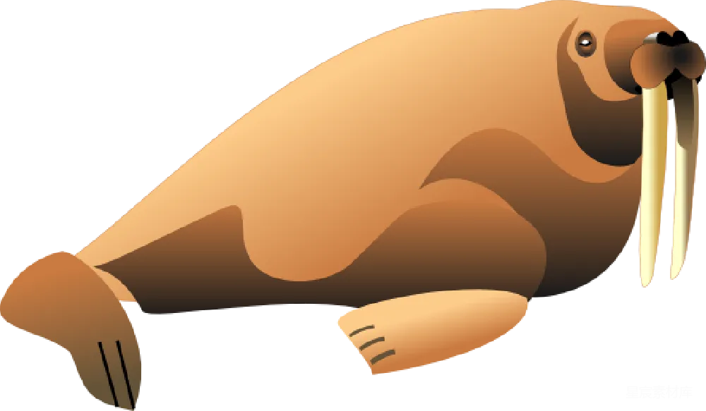 元素素材 元素 Walrus象鼻鱼